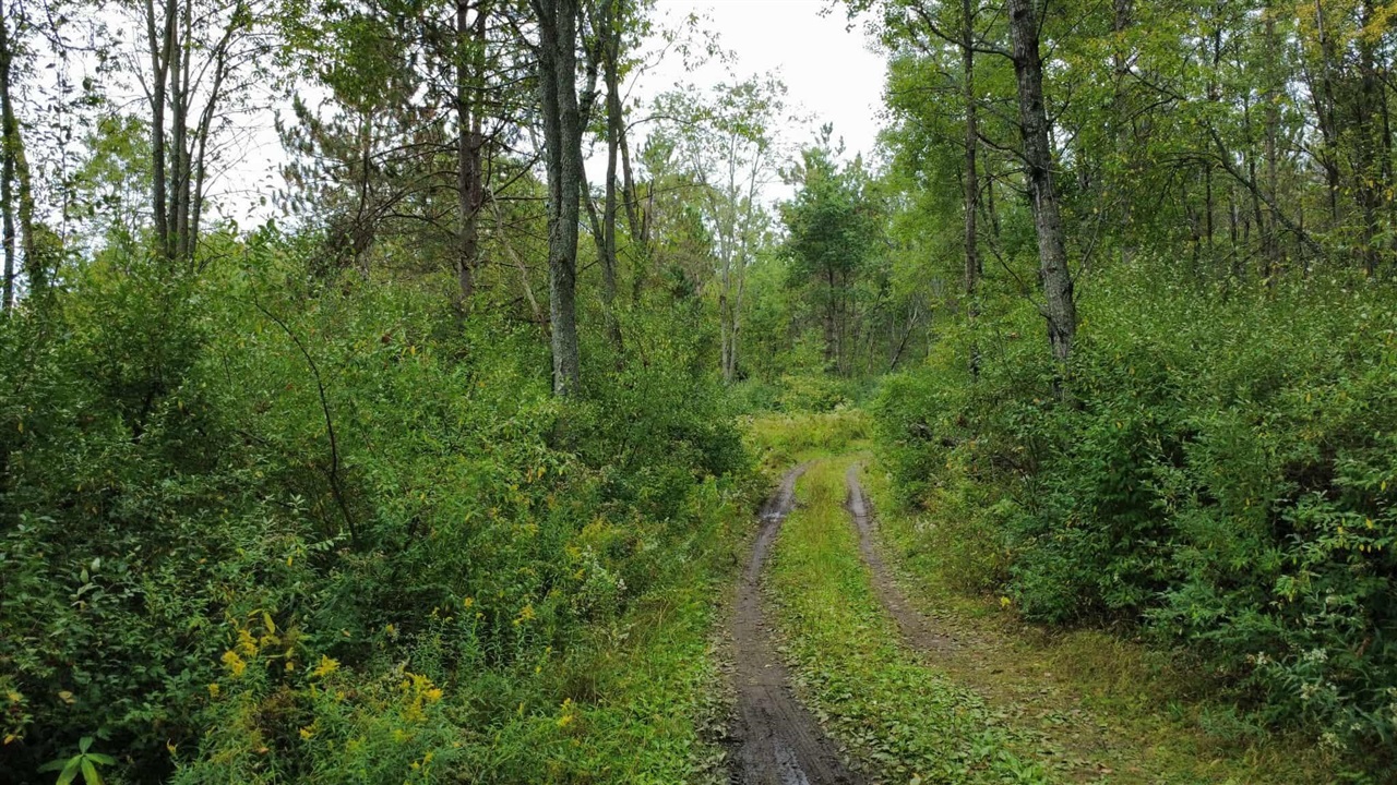 Homes for sale in Hubbard Lake, MI | 7767 W Richie Rd Rd, Hubbard Lake, MI 49747 | MLS# 70501545