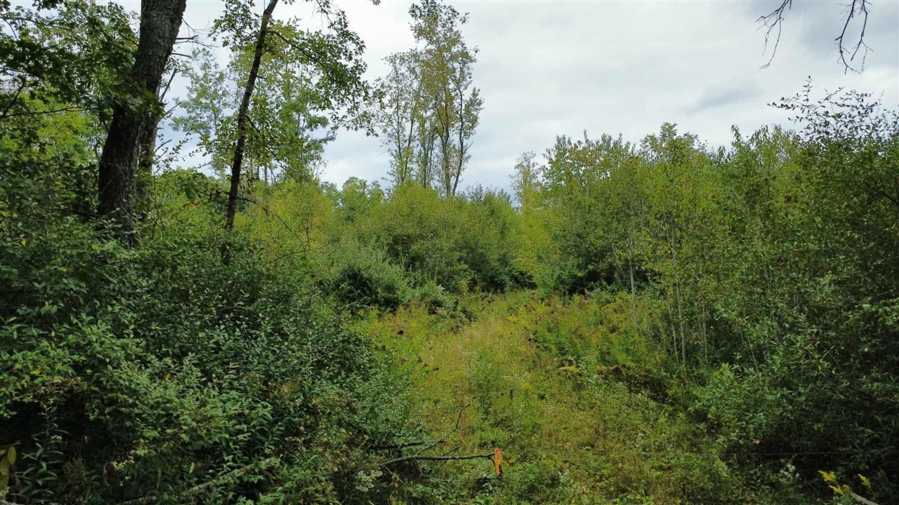 Homes for sale in Hubbard Lake, MI | 7767 W Richie Rd Rd, Hubbard Lake, MI 49747 | MLS# 70501545