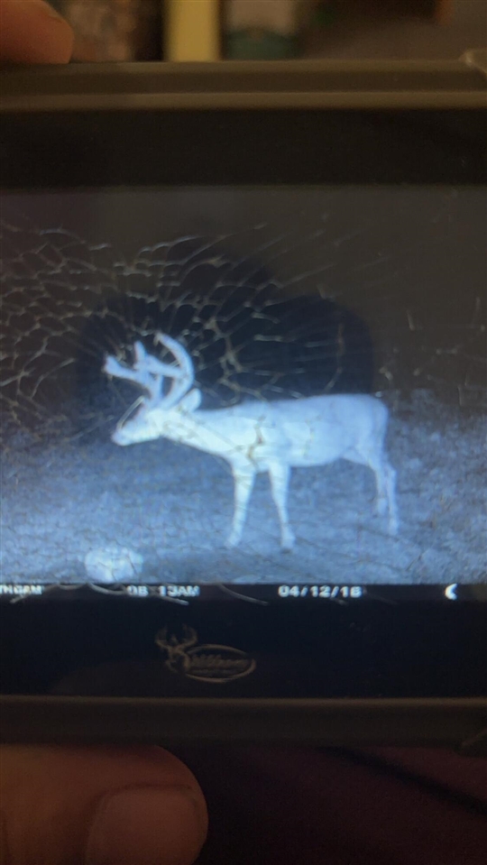 Homes for sale in Pullman, MI | 1176 56th St, Pullman, MI 49450 | MLS# 70501565