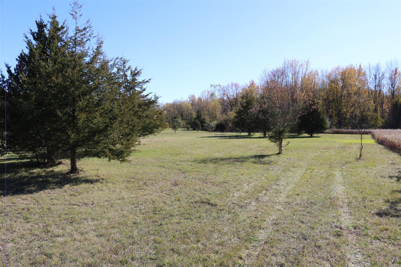 Homes for sale in Whitmore Lake, MI | 000 Jennings Rd Rd, Whitmore Lake, MI 48189 | MLS# 70501588