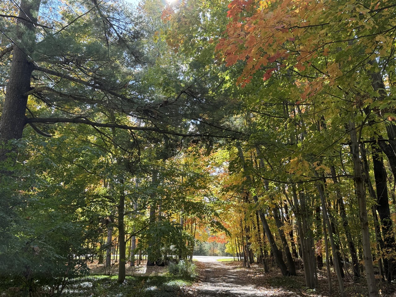 Homes for sale in West Olive, MI | 13271 Stanton St, West Olive, MI 49460 | MLS# 70501596