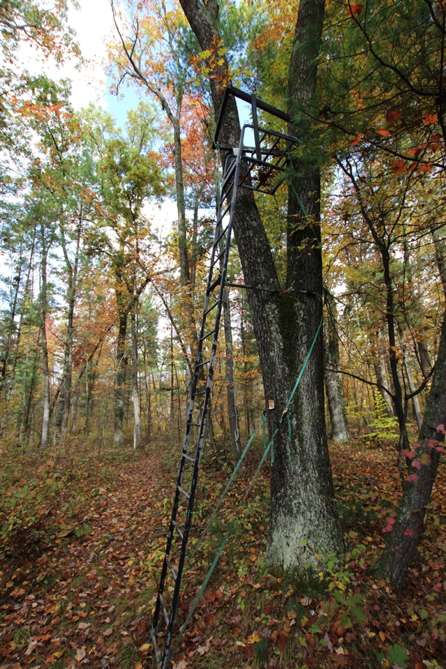 Homes for sale in Newaygo, MI | 7005 E 56th St, Newaygo, MI 49337 | MLS# 70501647