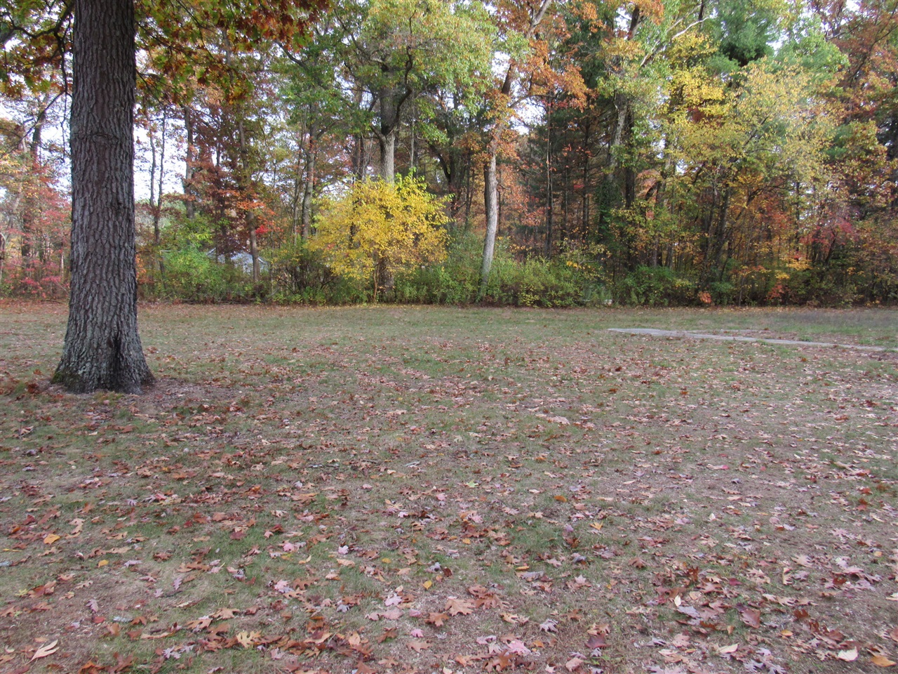 Homes for sale in Twin Lake, MI | 4015 Wilson Beach Rd, Twin Lake, MI 49457 | MLS# 70501750