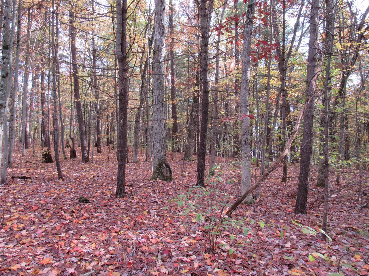 Homes for sale in Twin Lake, MI | 4015 Wilson Beach Rd, Twin Lake, MI 49457 | MLS# 70501750