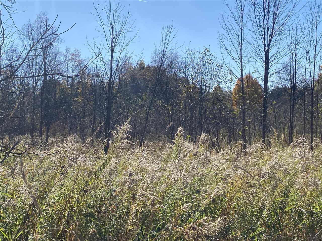 Homes for sale in Howard City, MI | V/l W Edgerton St, Howard City, MI 49329 | MLS# 70501961