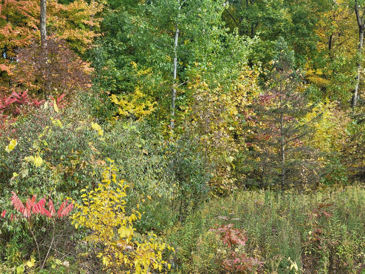 Homes for sale in Lawton, MI | 74066 Ridgeway Dr, Lawton, MI 49065 | MLS# 70502038