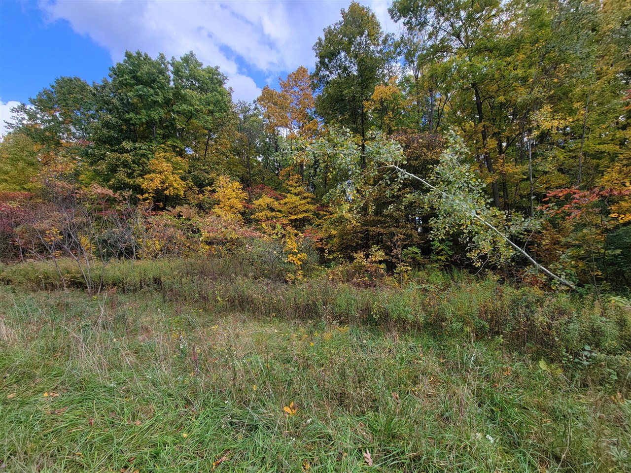 Homes for sale in Lawton, MI | 74066 Ridgeway Dr, Lawton, MI 49065 | MLS# 70502038