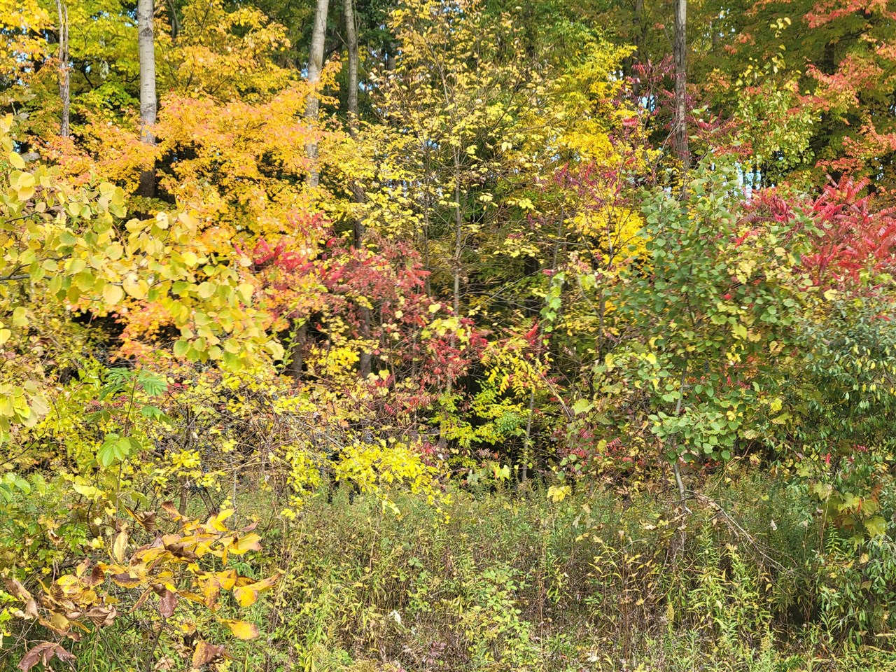 Homes for sale in Lawton, MI | 74032 Ridgeway Dr, Lawton, MI 49065 | MLS# 70502040