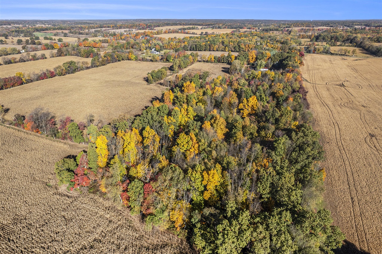 Homes for sale in Jonesville, MI | Vl Goose Lake Rd, Jonesville, MI 49250 | MLS# 70502077