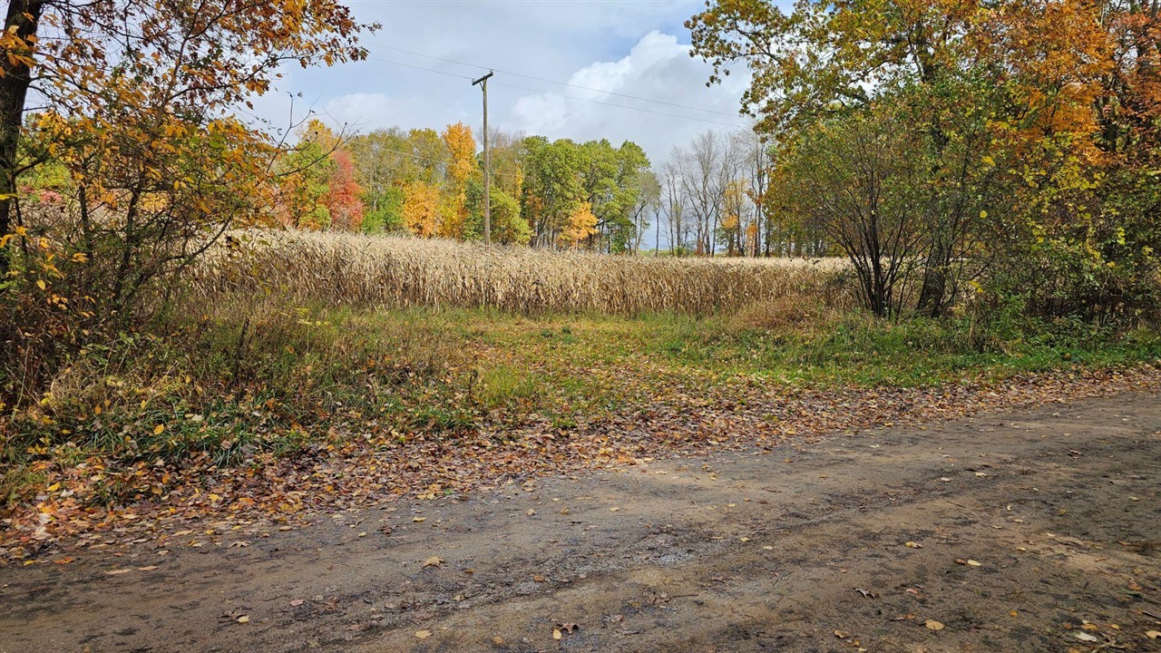 Homes for sale in Jonesville, MI | Vl Goose Lake Rd, Jonesville, MI 49250 | MLS# 70502077