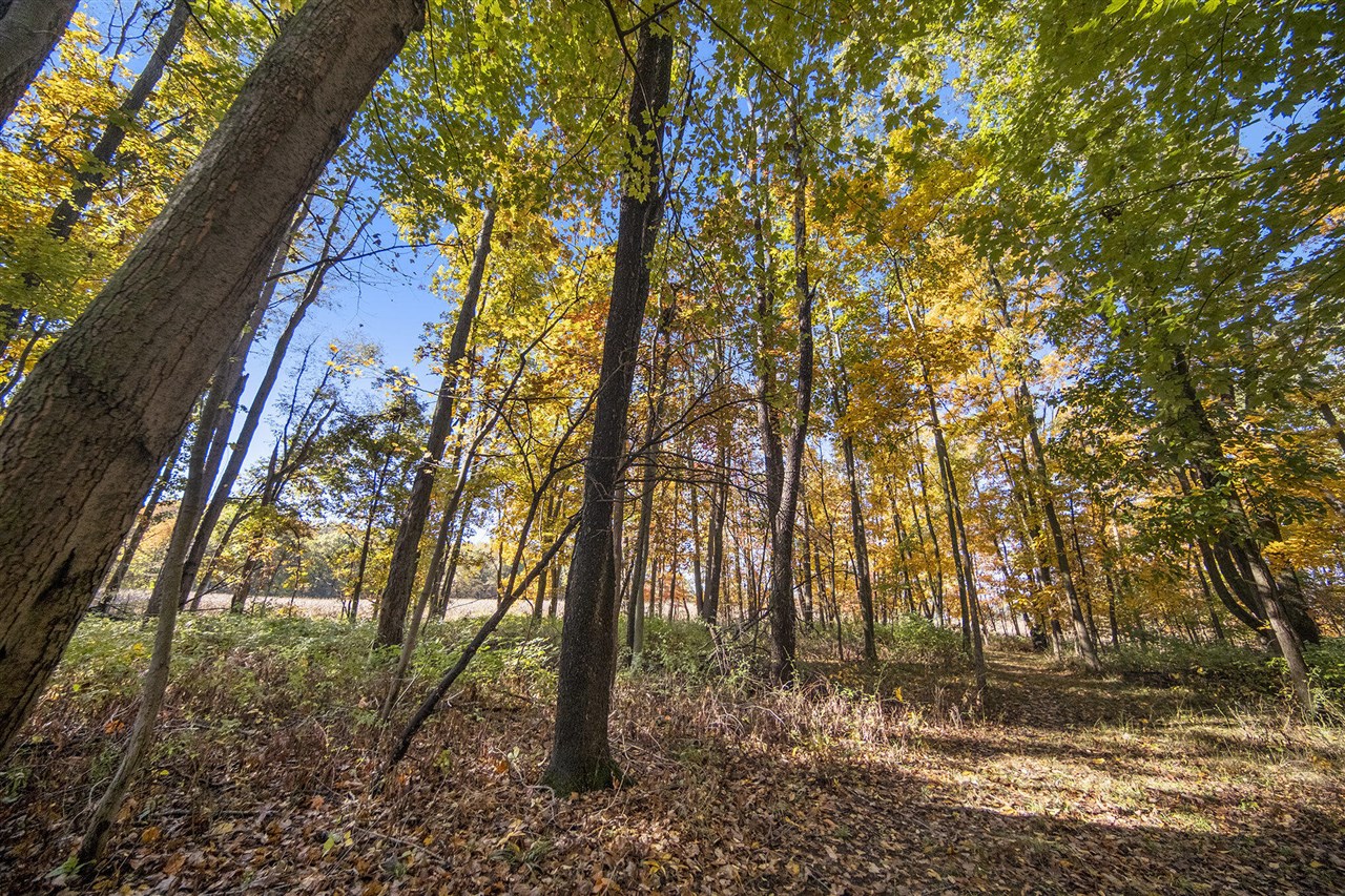 Homes for sale in Jonesville, MI | Vl Goose Lake Rd, Jonesville, MI 49250 | MLS# 70502077