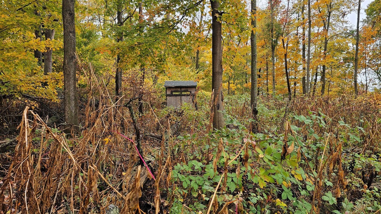 Homes for sale in Jonesville, MI | Vl Goose Lake Rd, Jonesville, MI 49250 | MLS# 70502077