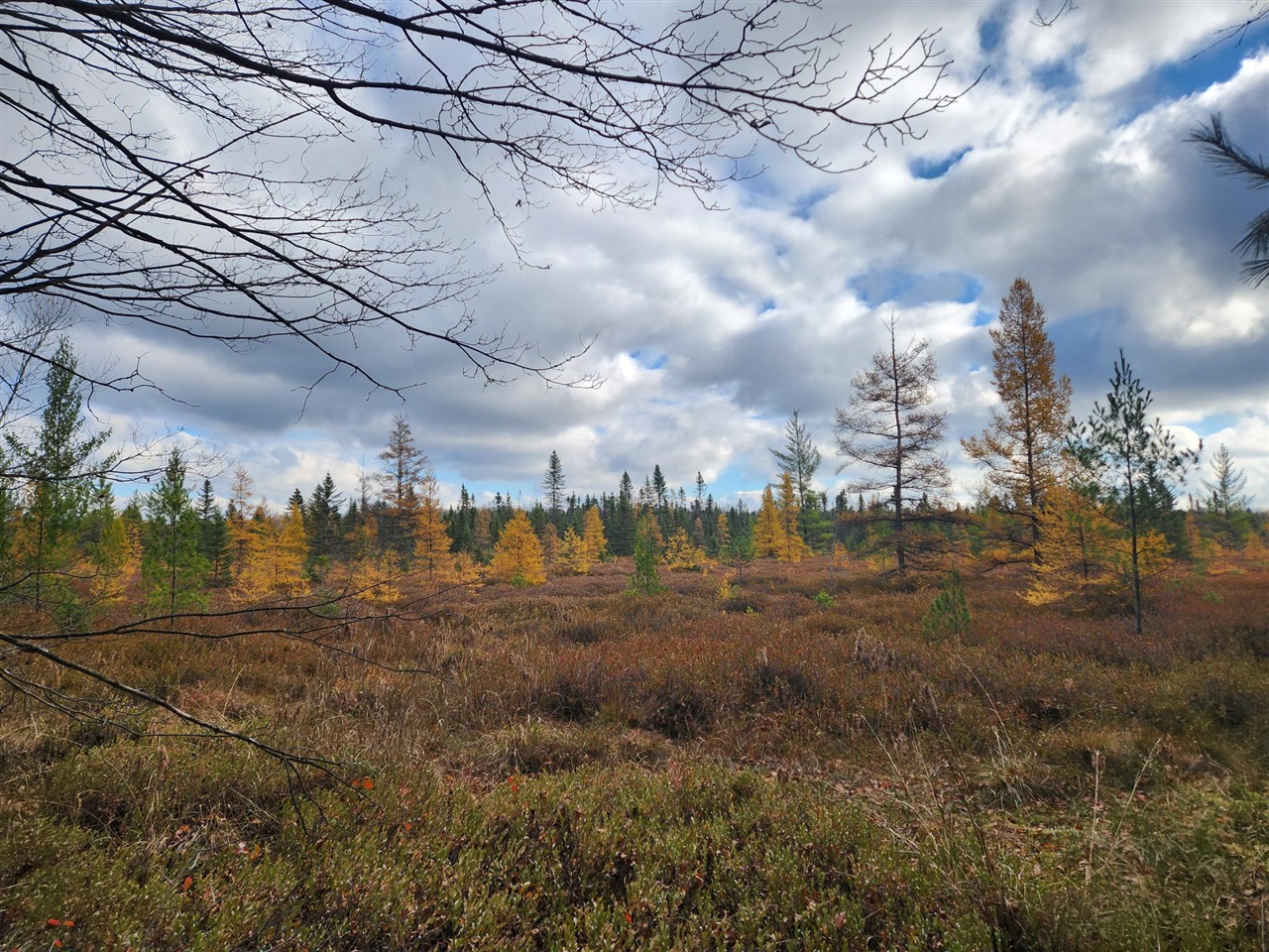 Homes for sale in Lake, MI | V/l Cadillac Dr, Lake, MI 48632 | MLS# 70502195