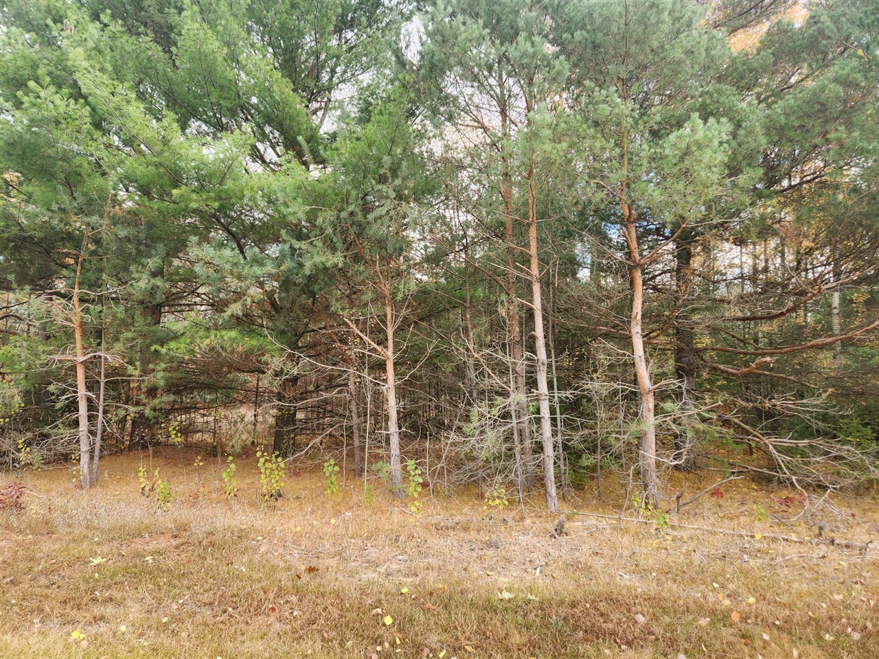 Homes for sale in Lake, MI | V/l Cadillac Dr, Lake, MI 48632 | MLS# 70502195