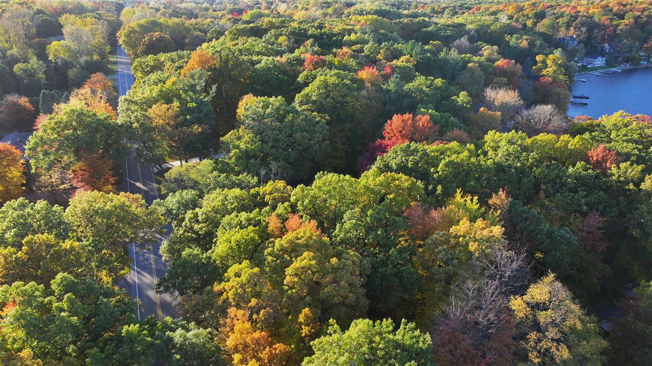 Homes for sale in Rockford, MI | V/l Brower Ave, Rockford, MI 49341 | MLS# 70502196