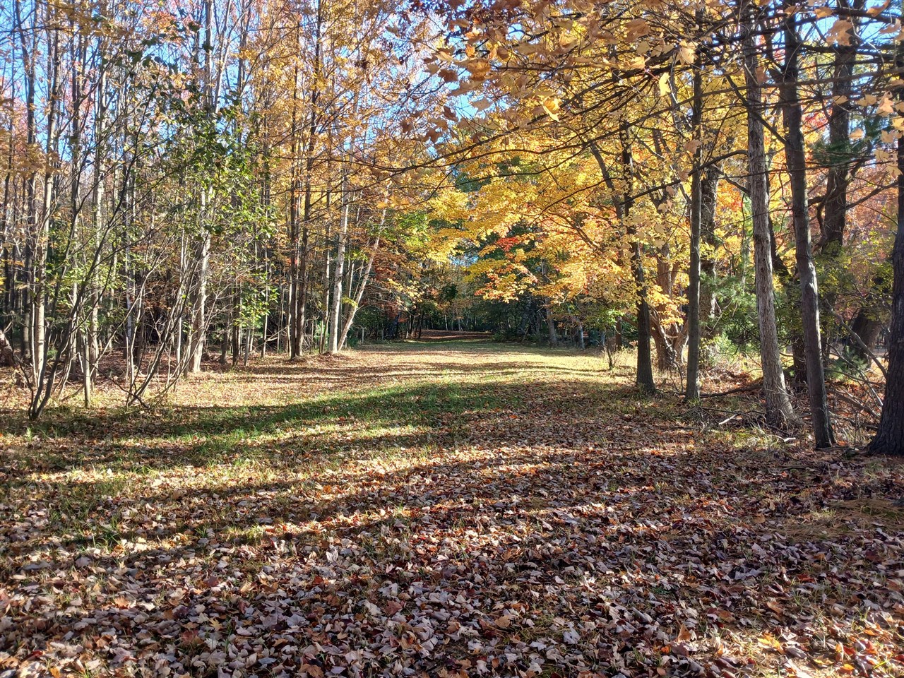 Homes for sale in Pentwater, MI | W Branch St, Pentwater, MI 49449 | MLS# 70502197