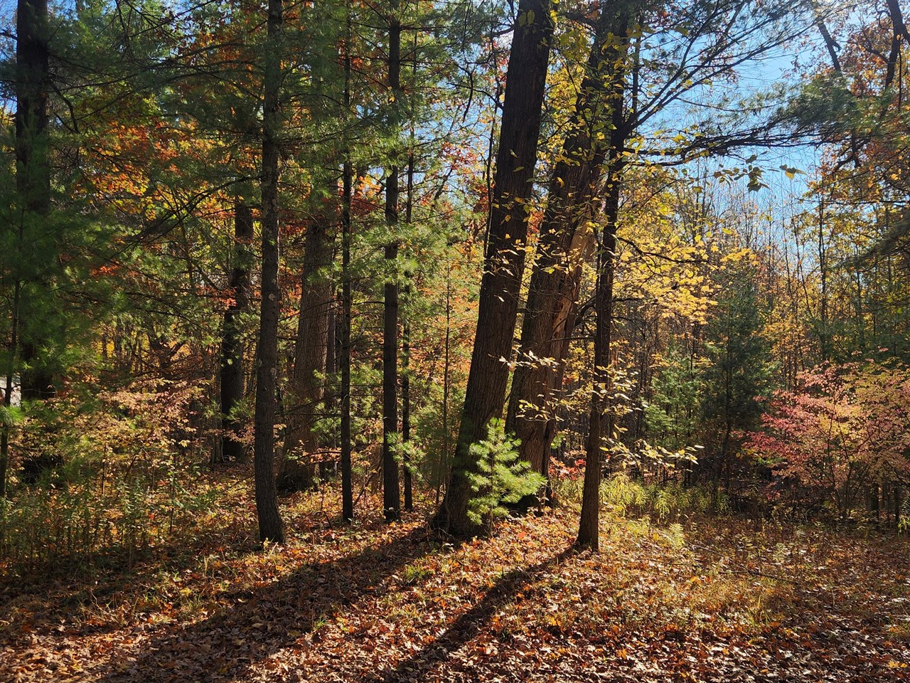 Homes for sale in Holton, MI | Crocker Rd, Holton, MI 49425 | MLS# 70502203