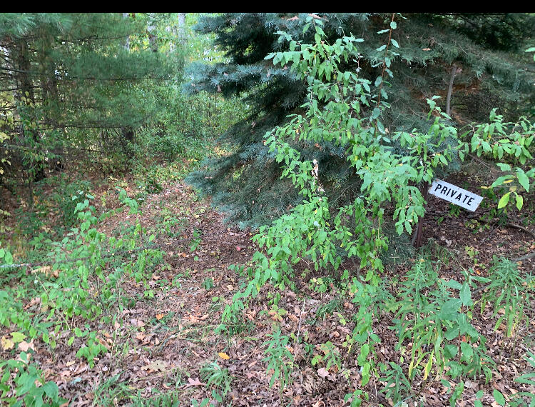 Homes for sale in Walkerville, MI | E Rossel Lake Road, Walkerville, MI 49459 | MLS# 70502233