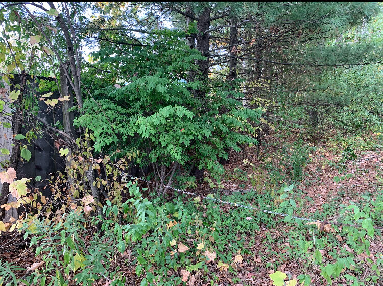 Homes for sale in Walkerville, MI | E Rossel Lake Road, Walkerville, MI 49459 | MLS# 70502233