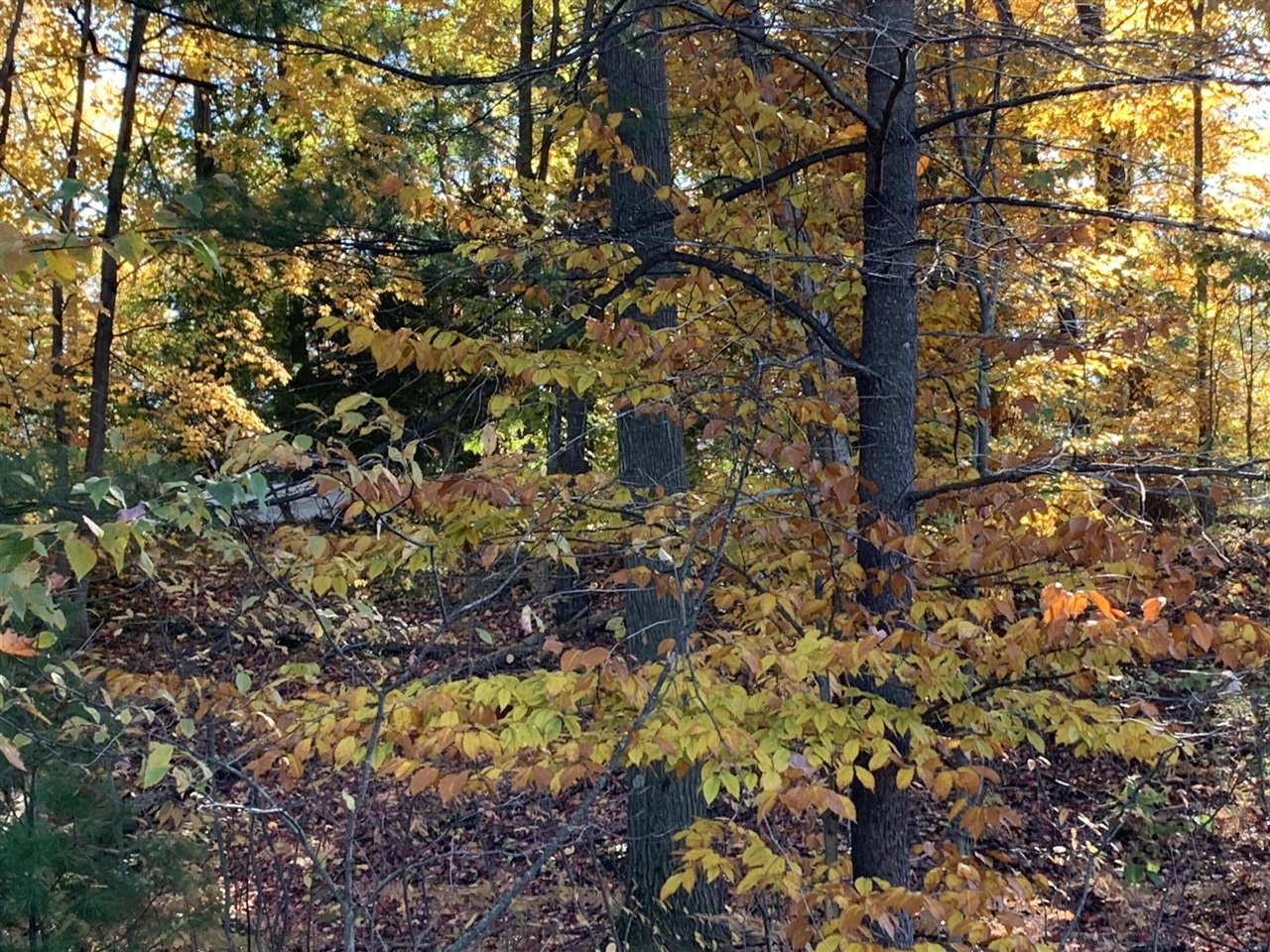 Homes for sale in Walkerville, MI | E Rossel Lake Road, Walkerville, MI 49459 | MLS# 70502233