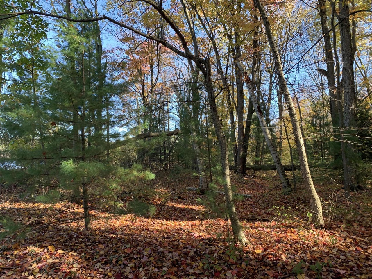 Homes for sale in Walkerville, MI | E Rossel Lake Road, Walkerville, MI 49459 | MLS# 70502233