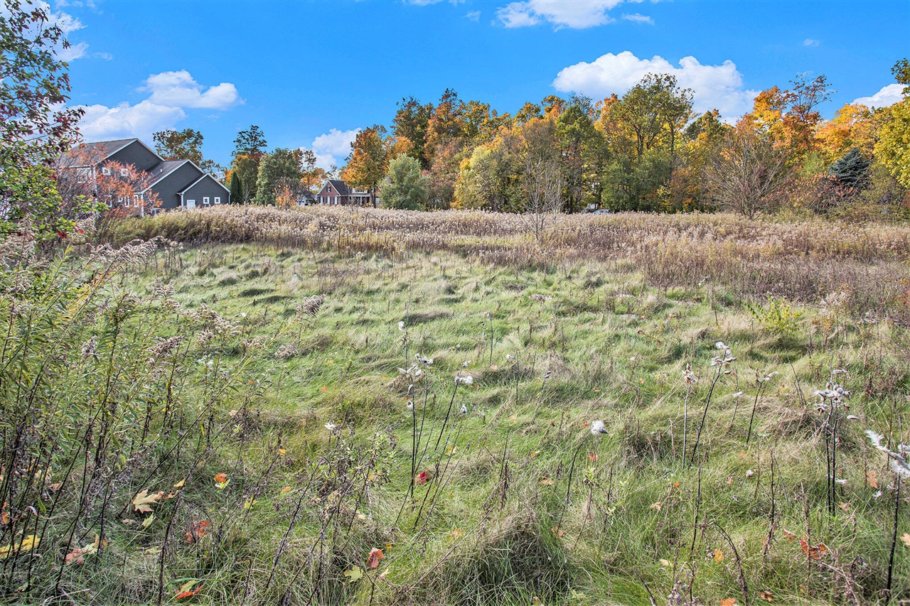 Homes for sale in Schoolcraft, MI | 16151 Farmstone St, Schoolcraft, MI 49087 | MLS# 70502402