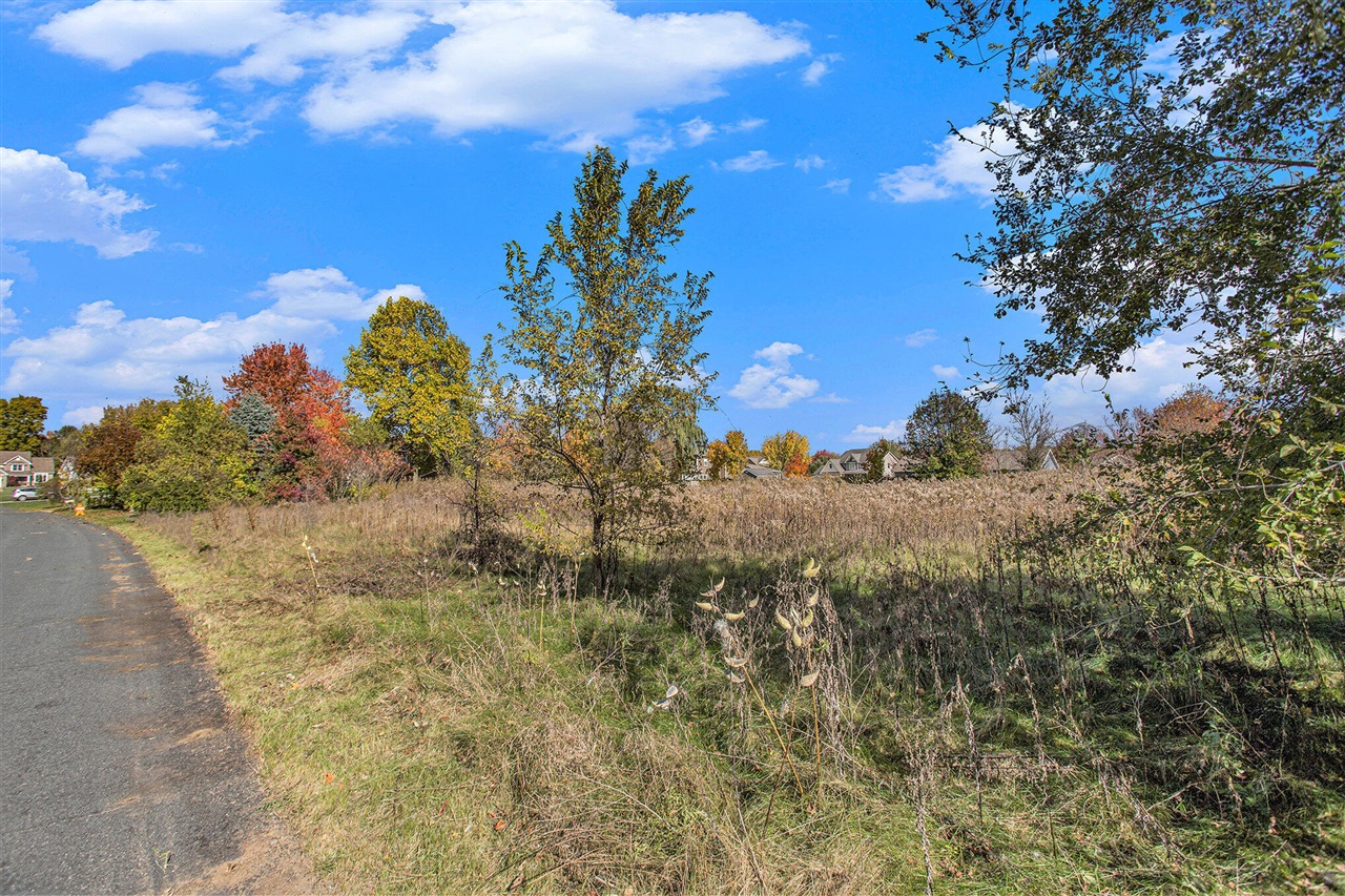 Homes for sale in Schoolcraft, MI | 16151 Farmstone St, Schoolcraft, MI 49087 | MLS# 70502402