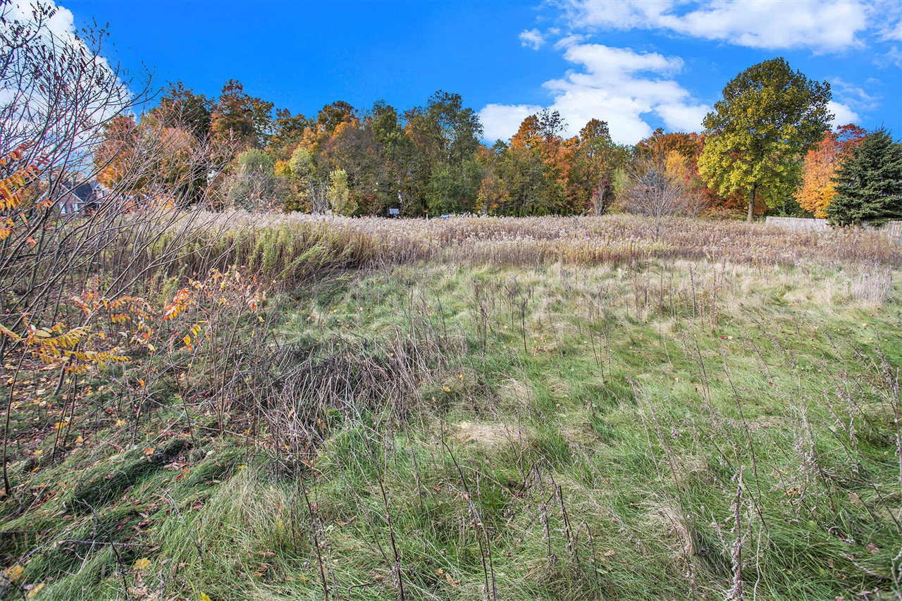 Homes for sale in Schoolcraft, MI | 16151 Farmstone St, Schoolcraft, MI 49087 | MLS# 70502402