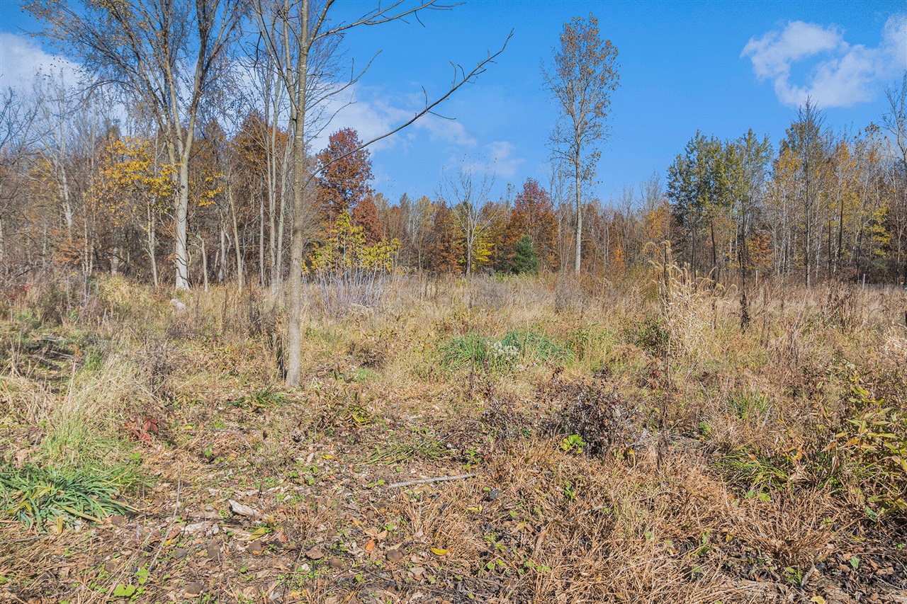 Homes for sale in Grand Junction, MI | Vl 387ac 24th Ave, Grand Junction, MI 49056 | MLS# 70502856