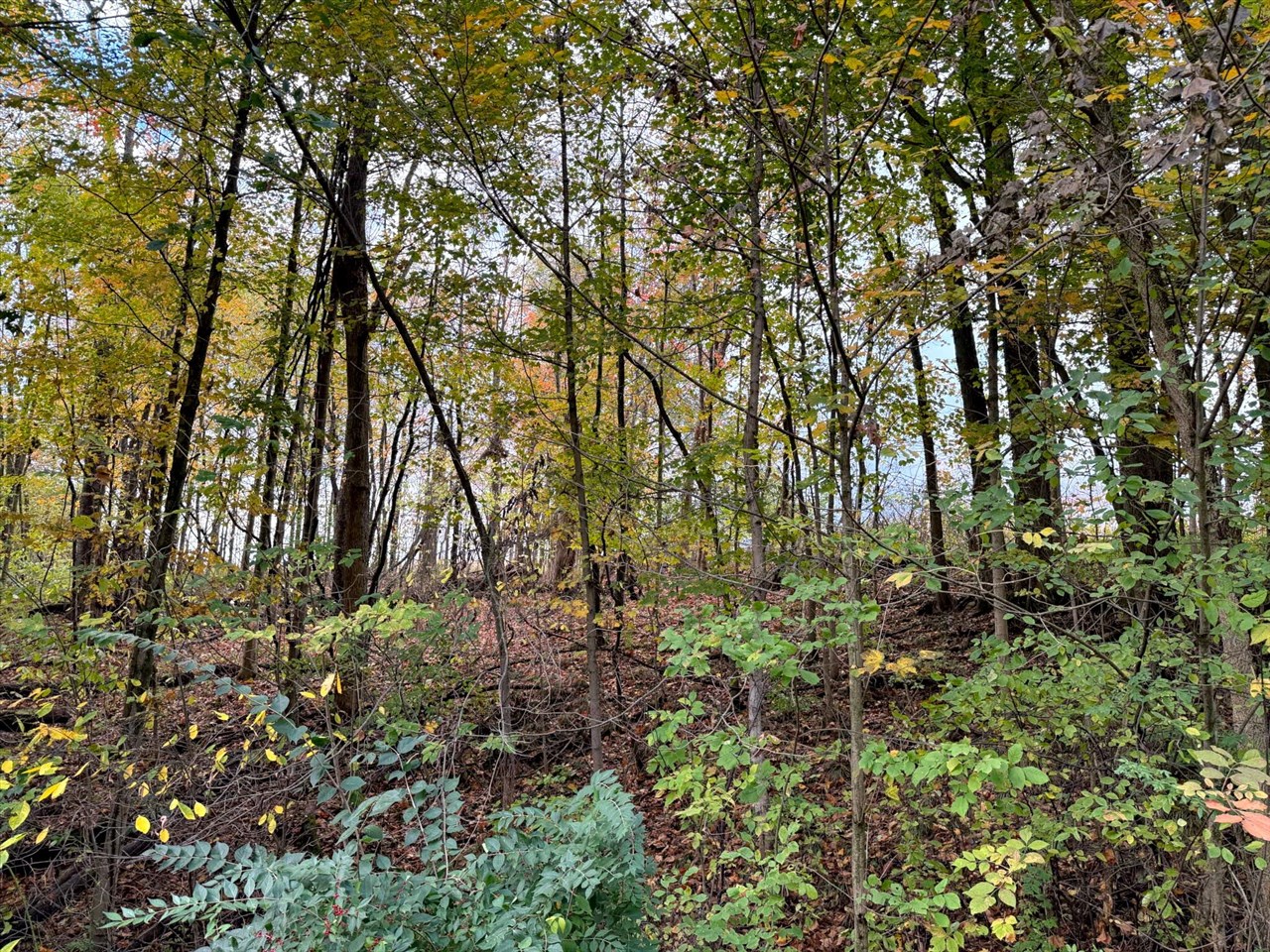 Homes for sale in Berrien Springs, MI | 00 Herman Rd, Berrien Springs, MI 49103 | MLS# 70502899