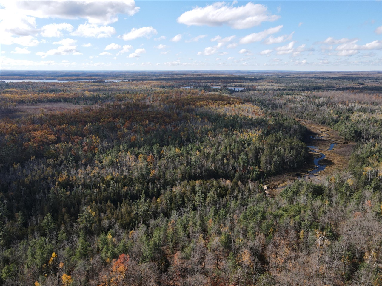 Homes for sale in Hillman, MI | 22006 Bowden Trail, Hillman, MI 49746 | MLS# 70502912