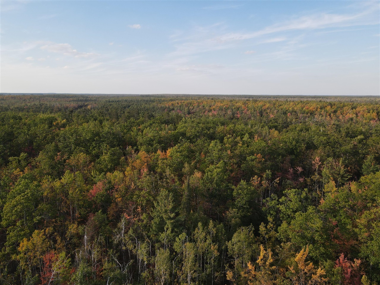 Homes for sale in Hillman, MI | 22006 Bowden Trail, Hillman, MI 49746 | MLS# 70502912