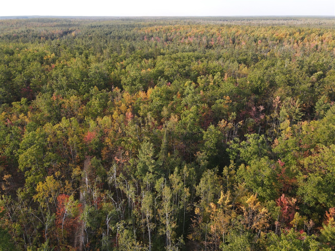 Homes for sale in Hillman, MI | 22006 Bowden Trail, Hillman, MI 49746 | MLS# 70502912