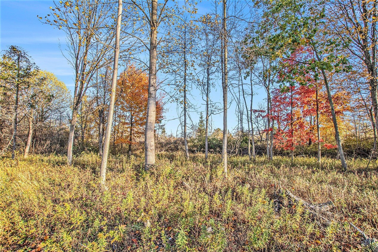 Homes for sale in South Haven, MI | Vl Beachview Dr, South Haven, MI 49090 | MLS# 70502983