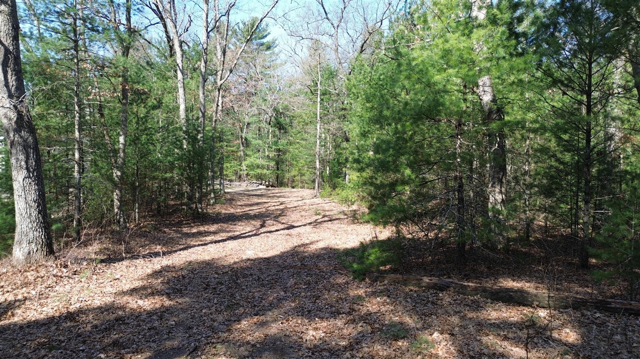 Homes for sale in Whitehall, MI | 253 W Crystal Lake Rd, Whitehall, MI 49461 | MLS# 70503009