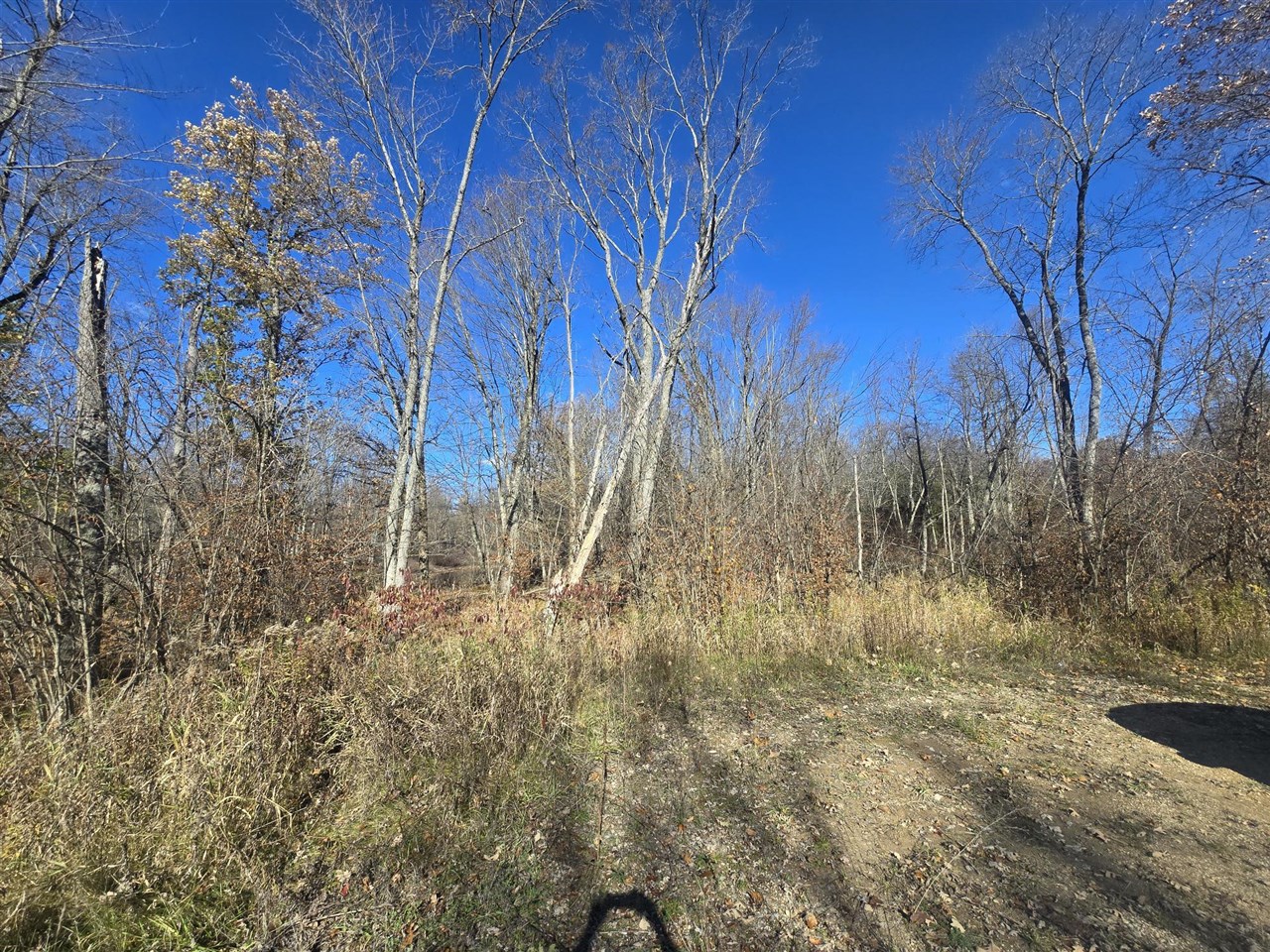 Homes for sale in Merritt, MI | V/l E Cadillac Rd, Merritt, MI 49667 | MLS# 70503059