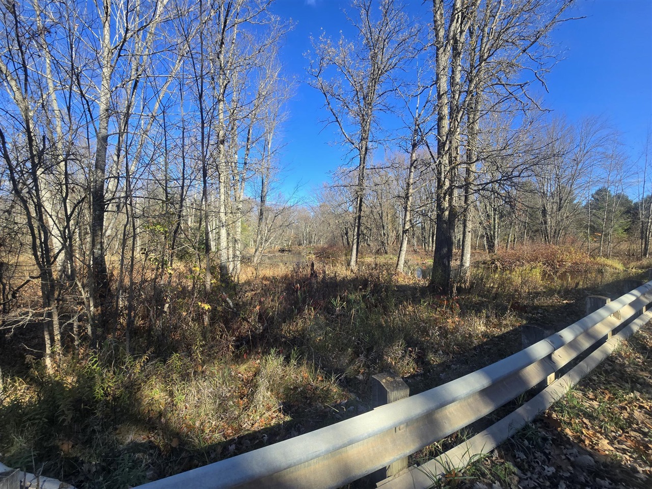 Homes for sale in Merritt, MI | V/l E Cadillac Rd, Merritt, MI 49667 | MLS# 70503059