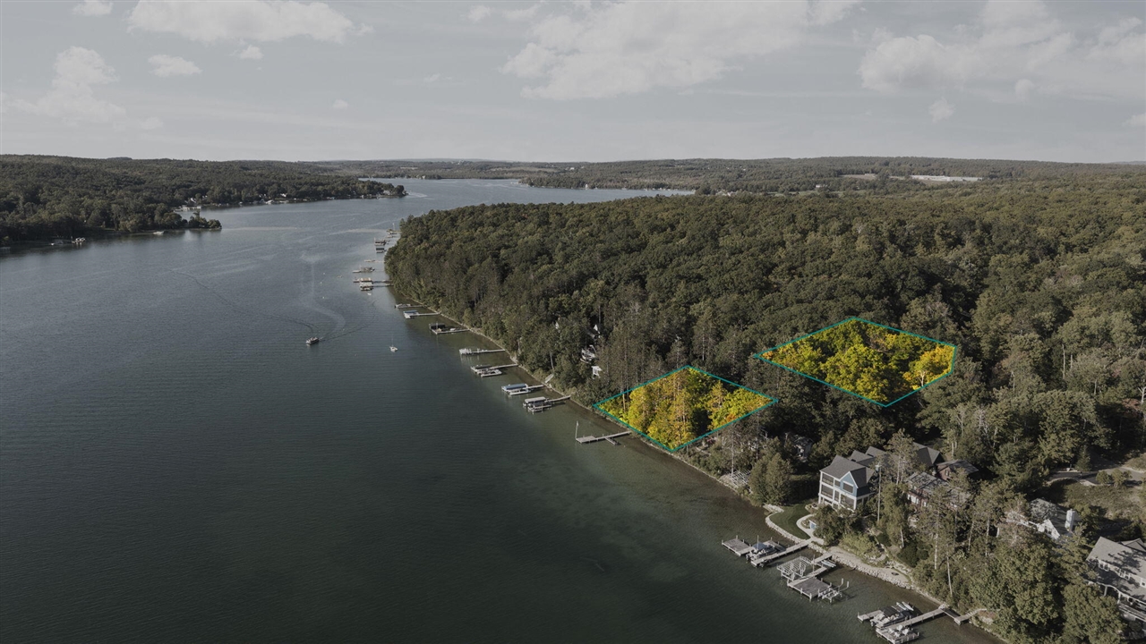 Homes for sale in Walloon Lake, MI | 818 Whitfield Vw, Walloon Lake, MI 49796 | MLS# 70503080