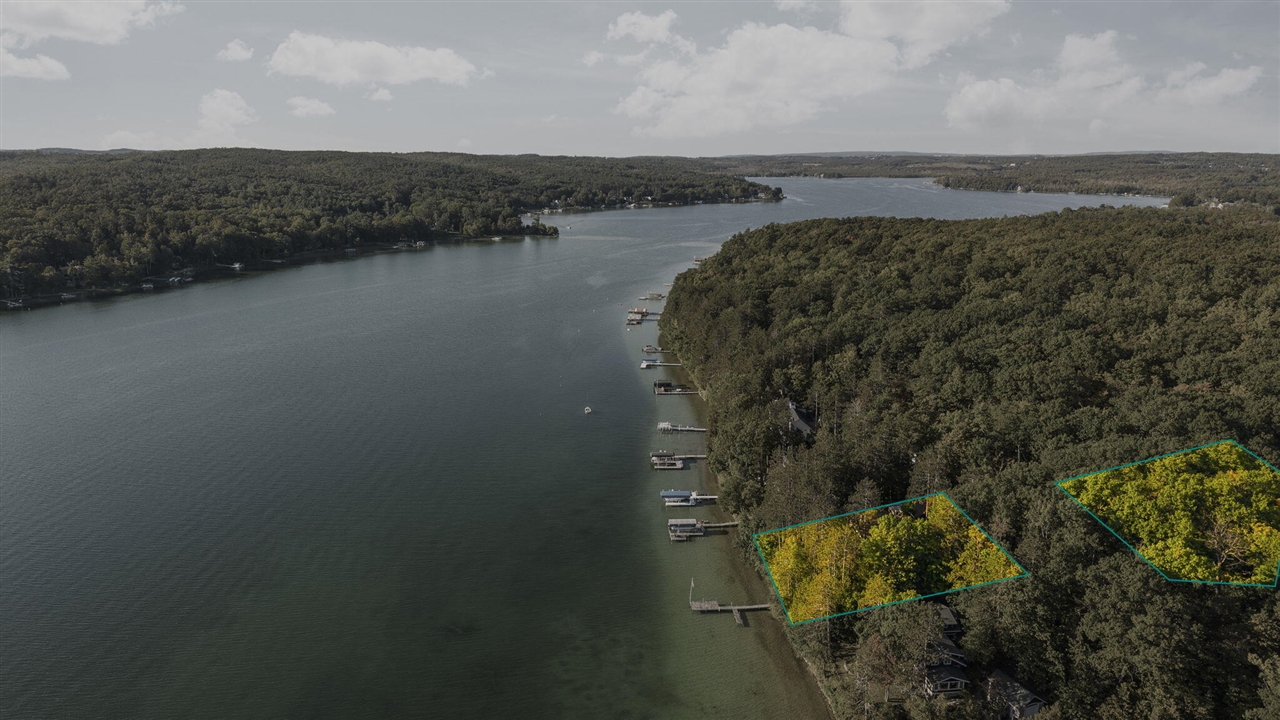 Homes for sale in Walloon Lake, MI | 818 Whitfield Vw, Walloon Lake, MI 49796 | MLS# 70503080