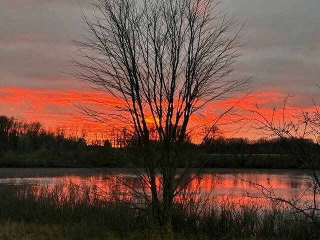 Homes for sale in Rockford, MI | 9975 Young Ave, Rockford, MI 49341 | MLS# 70503120