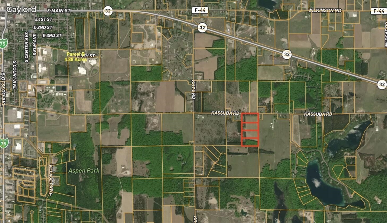 Homes for sale in Gaylord, MI | Parcel D Kassuba Rd, Gaylord, MI 49735 | MLS# 70503197