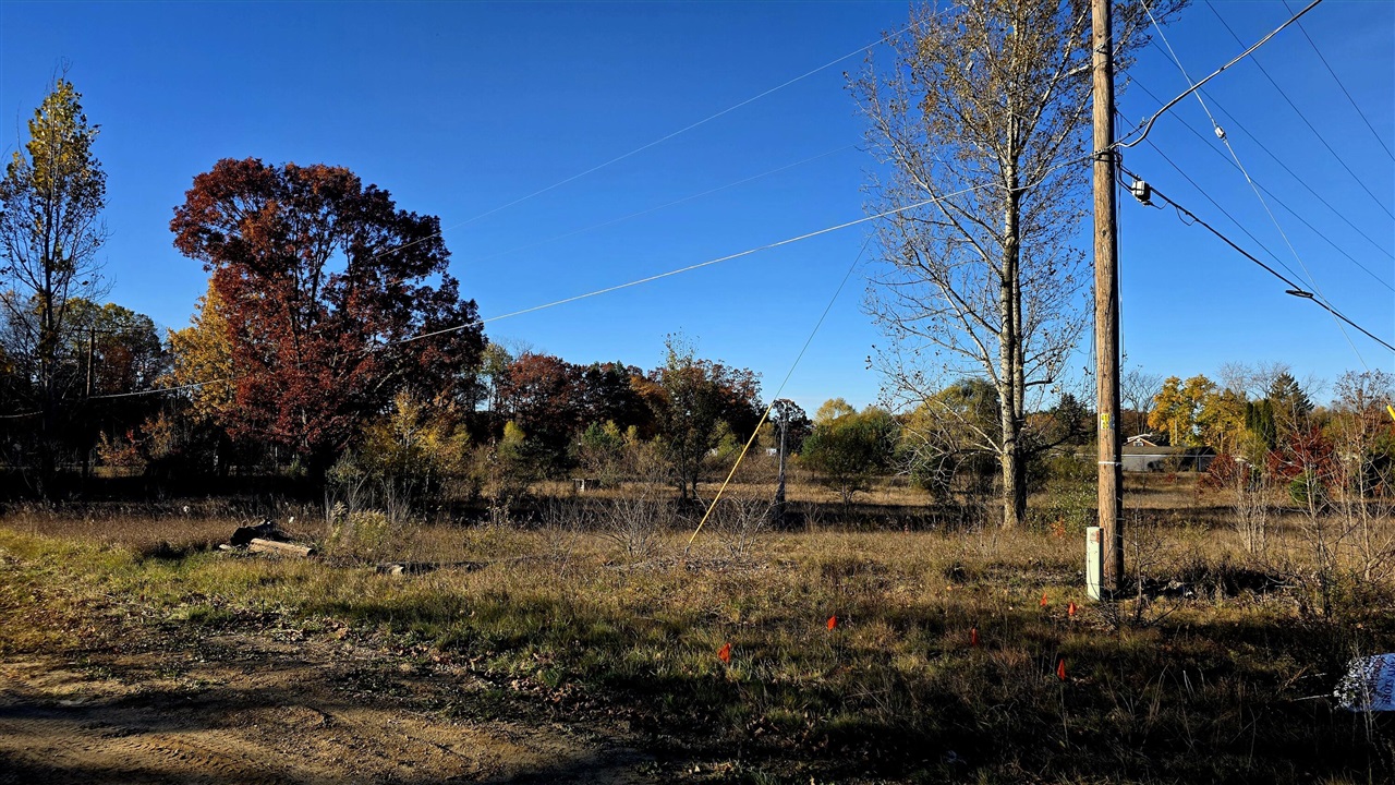 Homes for sale in Vestaburg, MI | E Howard City Edmore Rd, Vestaburg, MI 48891 | MLS# 70503249