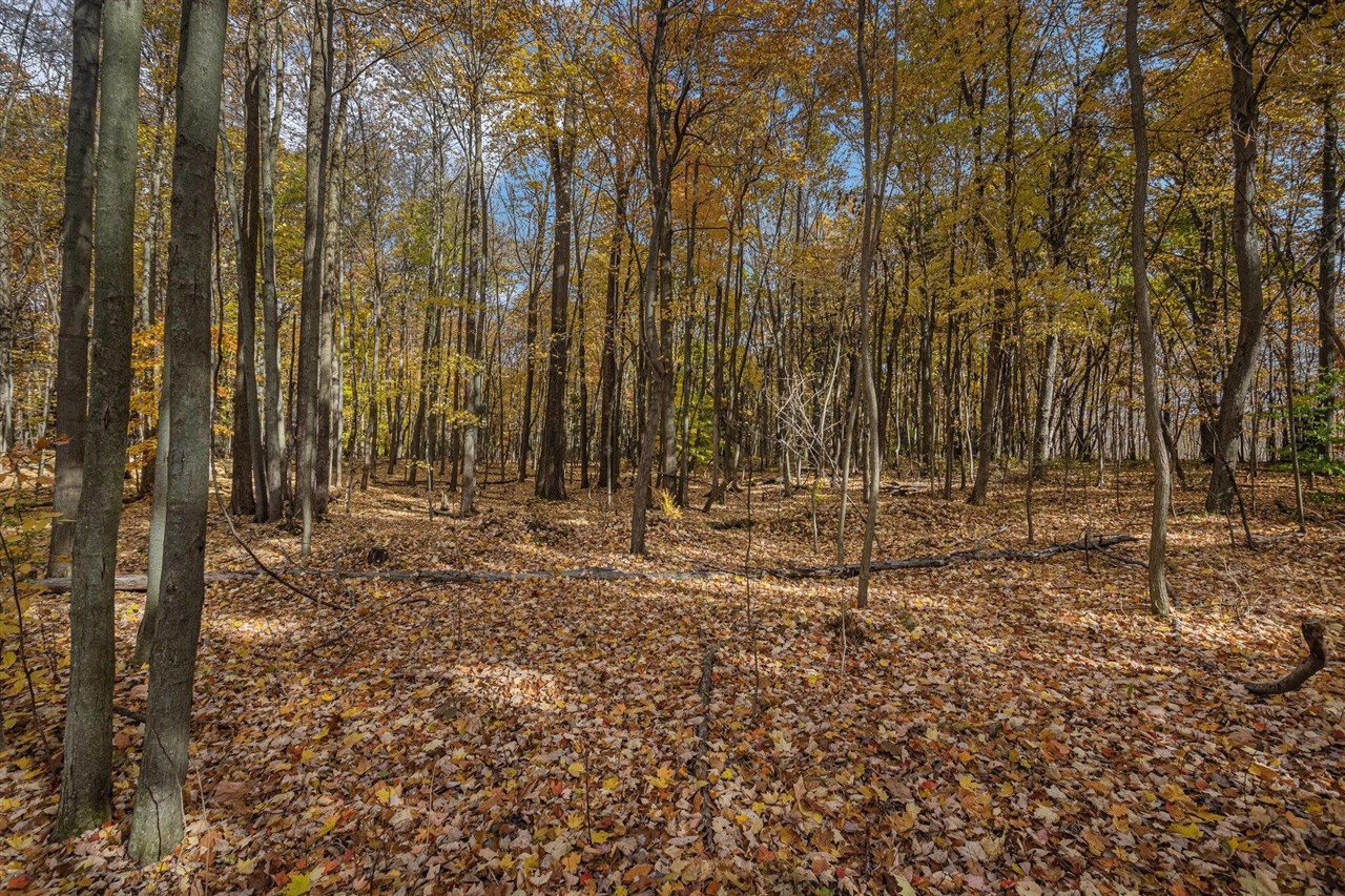 Homes for sale in Gobles, MI | 36166 Maier St, Gobles, MI 49055 | MLS# 70503351