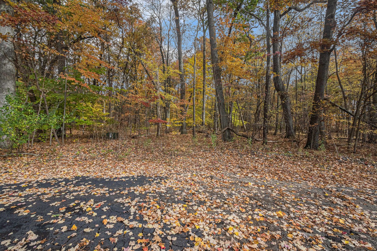 Homes for sale in Gobles, MI | 36166 Maier St, Gobles, MI 49055 | MLS# 70503351