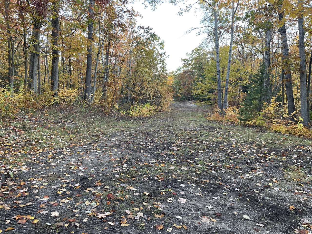 Homes for sale in Cheboygan, MI | 14281 Sandown Ct, Cheboygan, MI 49721 | MLS# 70503419