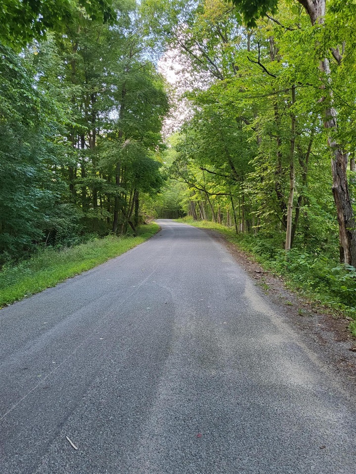 Homes for sale in Union Pier, MI | 16800 Riverside Dr, Union Pier, MI 49129 | MLS# 70503486