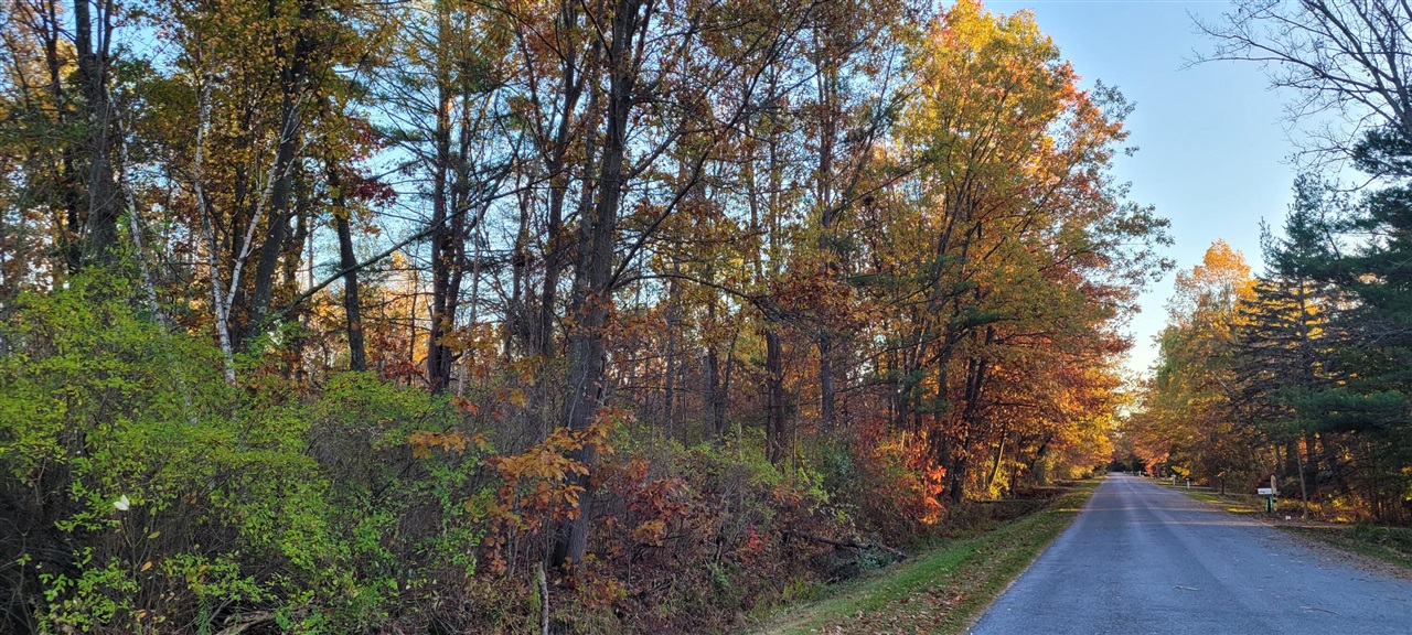 Homes for sale in Pentwater, MI | 0 Harbor Dr, Pentwater, MI 49449 | MLS# 70503493