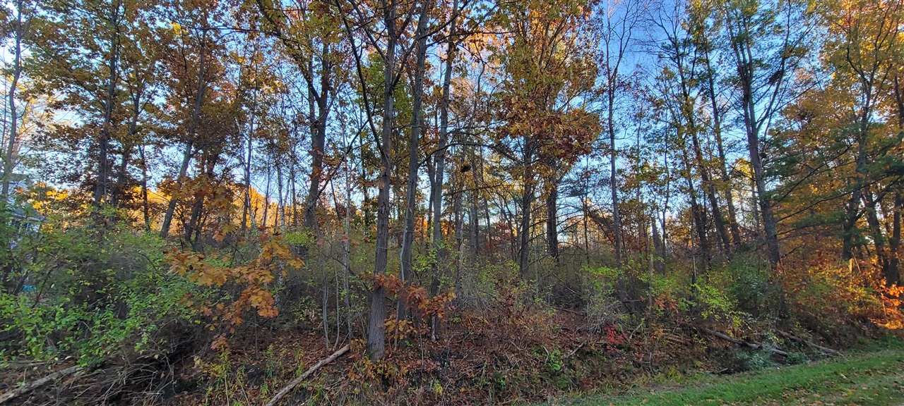 Homes for sale in Pentwater, MI | 0 Harbor Dr, Pentwater, MI 49449 | MLS# 70503493