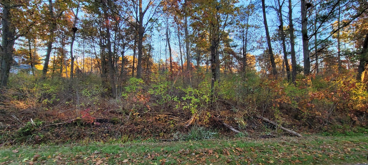 Homes for sale in Pentwater, MI | 0 Harbor Dr, Pentwater, MI 49449 | MLS# 70503493