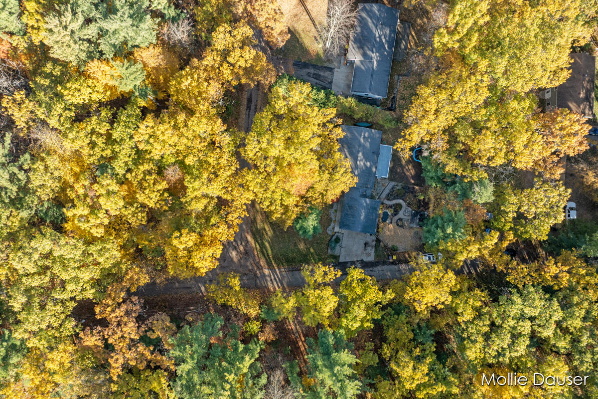 Homes for sale in Rockford, MI | 8683 Star Eye St, Rockford, MI 49341 | MLS# 70503561